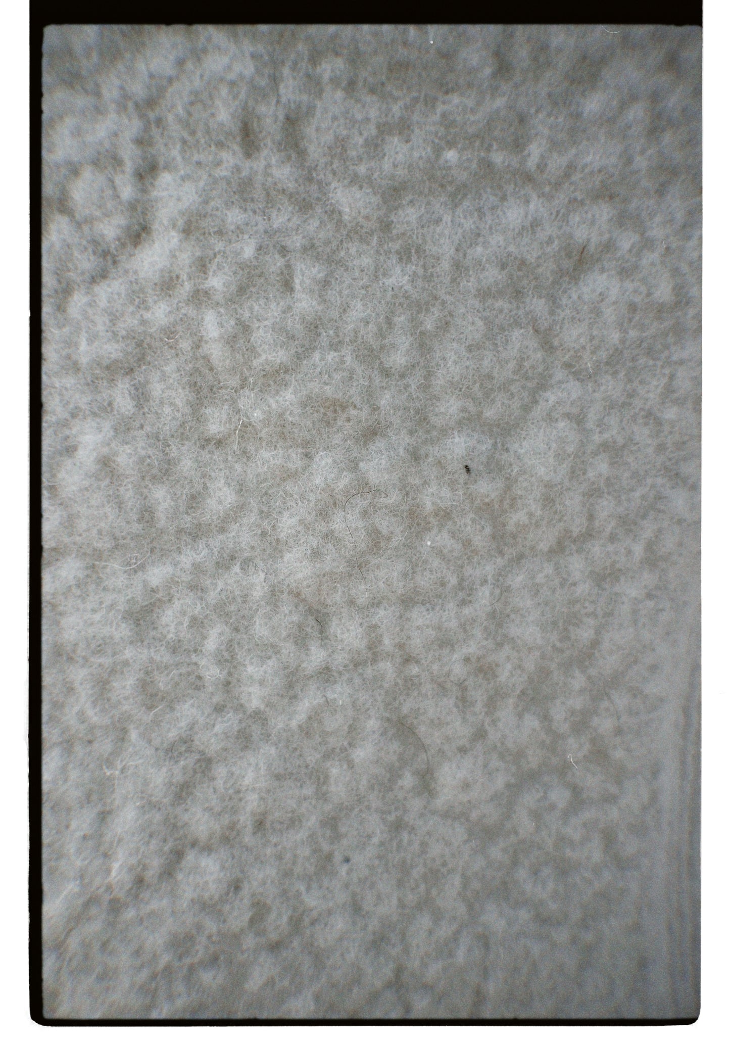 La Veste Berger - Homme